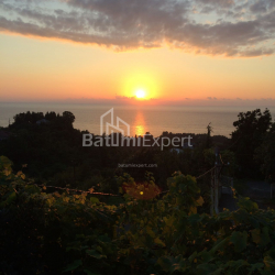 Private house 6-room 4000 m² - David Agmashenebeli, Kobuleti