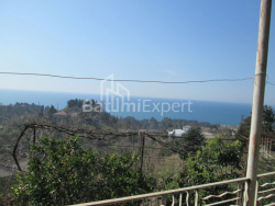 Private house 6-room 4000 m² - David Agmashenebeli, Kobuleti