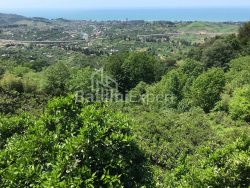 Private house 2255 m² - Agmashenebeli, Chakvi, Georgia