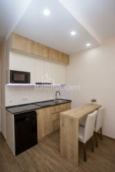 Apartment 27 m² - Sherif Khimshiashvili, Batumi, Georgia