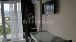 Apartment 32.1 m² - Shalva Inasaridze, Batumi, Georgia