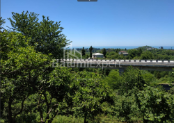Land plot 536 m² - Agmashenebeli, Chakvi, Georgia