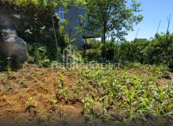Land plot 536 m² - Agmashenebeli, Chakvi, Georgia