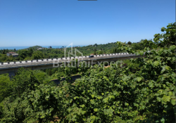 Land plot 536 m² - Agmashenebeli, Chakvi, Georgia