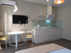 Apartment 1-room 33 m² - Shalva Inasaridze, Batumi