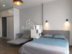 Apartment 1-room 33 m² - Shalva Inasaridze, Batumi