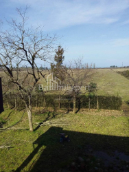 Land plot 4260 m² - David Agmashenebeli, Kobuleti