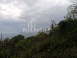 Land plot 1000 m² - Akhalgazrdoba, Makhinjauri, Georgia