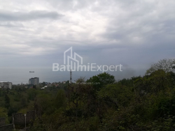 Land plot 1000 m² - Akhalgazrdoba, Makhinjauri, Georgia