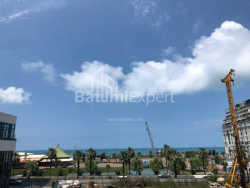 Apartment 29 m² - Zurab Gorgiladze, Batumi, Georgia