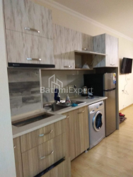 Apartment 2-room 42 m² - Shalva Inasaridze, Batumi