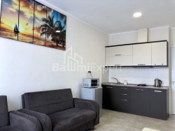 Apartment 45.8 m² - Sherif Khimshiashvili, Batumi, Georgia