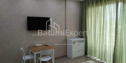 Apartment 33 m² - Shalva Inasaridze, Batumi, Georgia