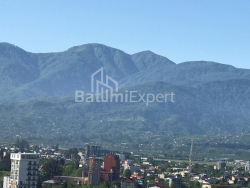 Apartment 28.8 m² - Iusuf Kobaladze, Batumi, Georgia