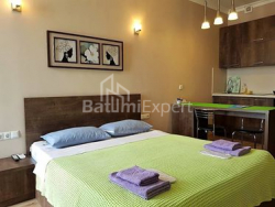 Apartment 1-room 29 m² - Zurab Gorgiladze, Batumi
