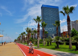 Apartment 50 m² - Sherif Khimshiashvili, Batumi, Georgia