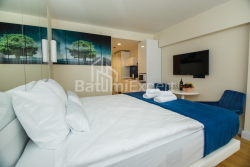 Apartment 1-room 30 m² - Sherif Khimshiashvili, Batumi