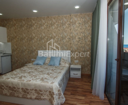 Apartment 1-room 32 m² - Shalva Inasaridze, Batumi