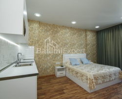 Apartment 32 m² - Shalva Inasaridze, Batumi, Georgia
