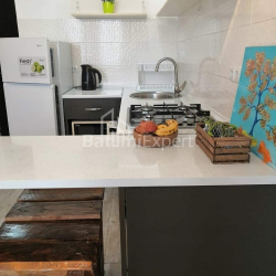 Apartment 1-room 29 m² - Zurab Gorgiladze, Batumi