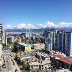 Apartment 29 m² - Zurab Gorgiladze, Batumi, Georgia