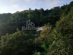 Private house 4-room 2501 m² - Akaki Shainidze, Khelvachauri
