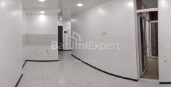 Apartment 1-room 42 m² - Davit Agmashenebeli, Batumi