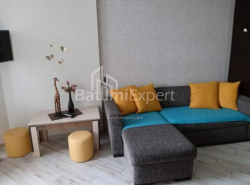Apartment 2-room 35.6 m² - Niko Pirosmani, Batumi