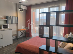 Apartment 1-room 31.3 m² - Shalva Inasaridze, Batumi