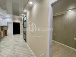 Apartment 50 m² - Shalva Inasaridze, Batumi, Georgia