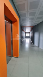 Apartment 48 m² - Shalva Inasaridze, Batumi, Georgia