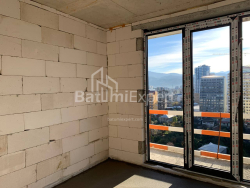 Apartment 45.6 m² - Shalva Inasaridze, Batumi, Georgia