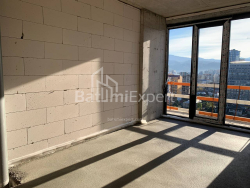 Apartment 45.6 m² - Shalva Inasaridze, Batumi, Georgia