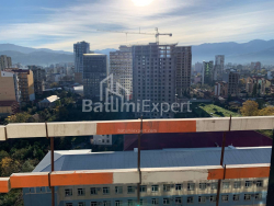 Apartment 45.6 m² - Shalva Inasaridze, Batumi, Georgia