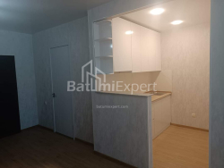 Apartment 46 m² - Niko Pirosmani, Batumi, Georgia