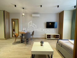 Apartment 1-room 37 m² - Niko Pirosmani, Batumi