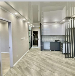 Apartment 2-room 45 m² - Niko Pirosmani, Batumi