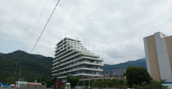 Apartment 35.6 m² - Petre Iberi, Gonio, Georgia