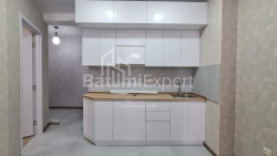 Apartment 3-room 60 m² - Shalva Inasaridze, Batumi