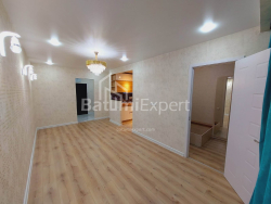 Apartment 2-room 46 m² - Niko Pirosmani, Batumi