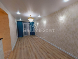 Apartment 2-room 46 m² - Niko Pirosmani, Batumi