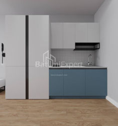 Apartment 1-room 30.3 m² - Shalva Inasaridze, Batumi