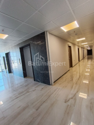 Apartment 46.3 m² - Jiuli Shartava, Batumi, Georgia