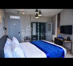 Hotel 918 m² - Petre Bagrationi, Batumi, Georgia