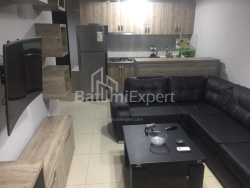 Apartment 2-room 45 m² - Alexandr Pushkin, Batumi