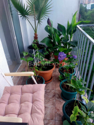 Apartment 1-room 31.8 m² - Angisa, Batumi