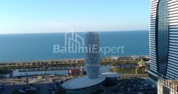 Apartment 1-room 49.2 m² - Niko Pirosmani, Batumi