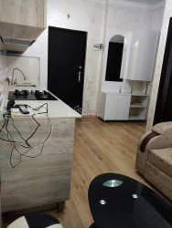 Apartment 2-room 29 m² - Shalva Inasaridze, Batumi